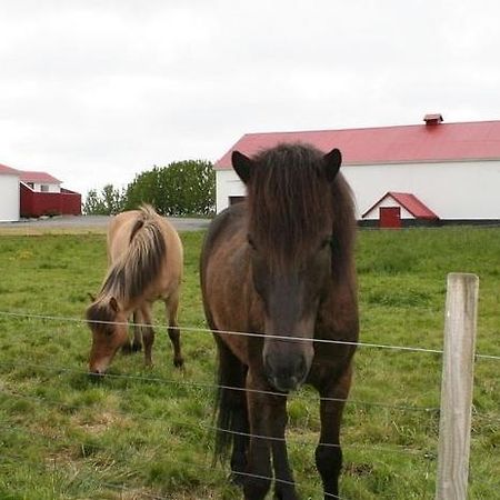 Ferienwohnung Byggtharhorn Selfoss Exterior foto